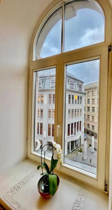 Spacious In Old Town 公寓 里加