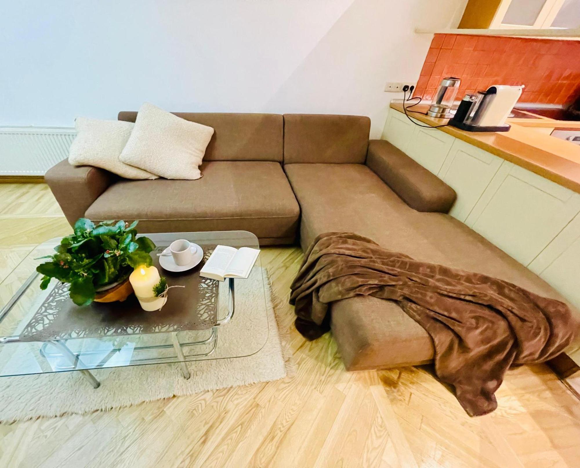 Spacious In Old Town 公寓 里加