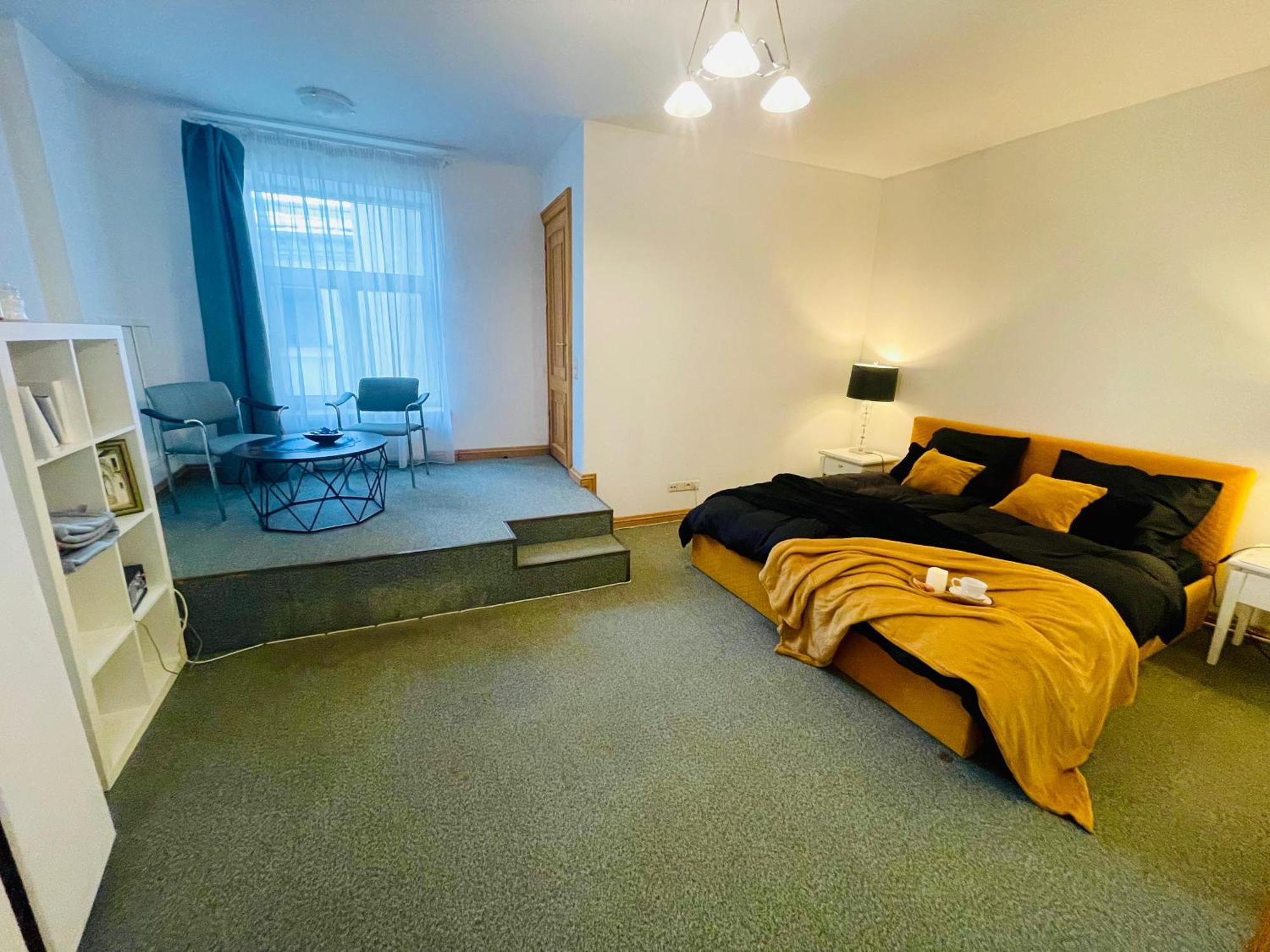 Spacious In Old Town 公寓 里加
